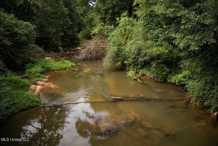 Petit Amite - Luxury Hunting Retreat in Amite County, MS - image 42