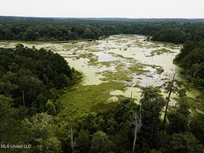 Petit Amite - Luxury Hunting Retreat in Amite County, MS - image 31