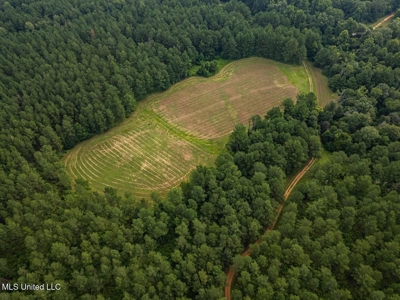 Petit Amite - Luxury Hunting Retreat in Amite County, MS - image 24