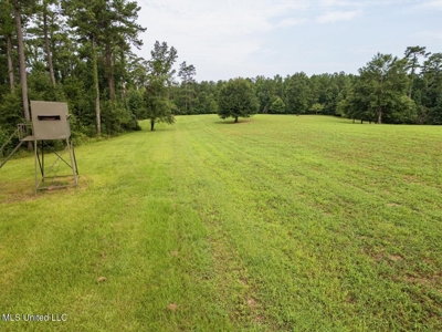 Petit Amite - Luxury Hunting Retreat in Amite County, MS - image 23