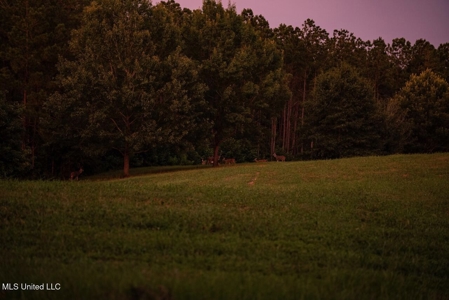 Petit Amite - Luxury Hunting Retreat in Amite County, MS - image 39