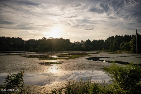 Petit Amite - Luxury Hunting Retreat in Amite County, MS - image 38
