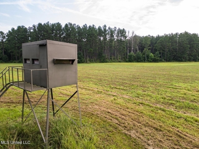 Petit Amite - Luxury Hunting Retreat in Amite County, MS - image 19