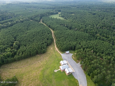 Petit Amite - Luxury Hunting Retreat in Amite County, MS - image 3