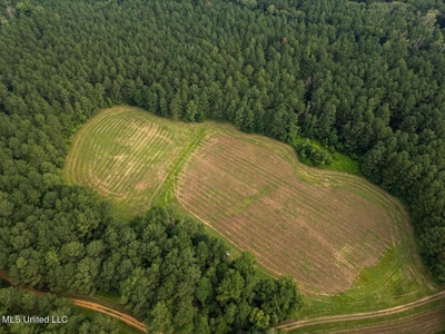 Petit Amite - Luxury Hunting Retreat in Amite County, MS - image 25