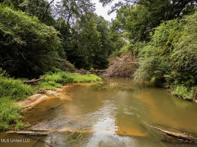 Petit Amite - Luxury Hunting Retreat in Amite County, MS - image 28