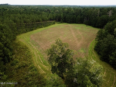 Petit Amite - Luxury Hunting Retreat in Amite County, MS - image 30