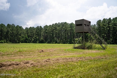 Petit Amite - Luxury Hunting Retreat in Amite County, MS - image 44