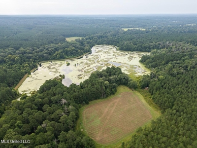Petit Amite - Luxury Hunting Retreat in Amite County, MS - image 21