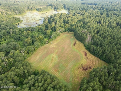 Petit Amite - Luxury Hunting Retreat in Amite County, MS - image 16