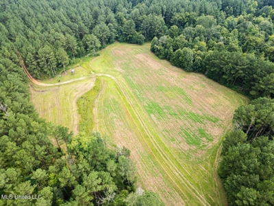 Petit Amite - Luxury Hunting Retreat in Amite County, MS - image 35