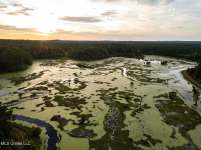 Petit Amite - Luxury Hunting Retreat in Amite County, MS - image 15