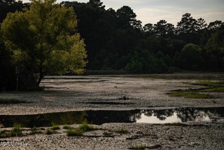 Petit Amite - Luxury Hunting Retreat in Amite County, MS - image 36