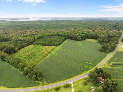 59 Acres of Farmland & Timberland in Rural NC - Great Hunting - image 13
