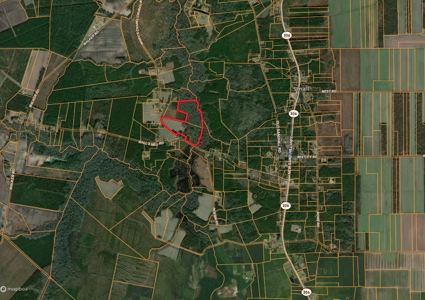 59 Acres of Farmland & Timberland in Rural NC - Great Hunting - image 3