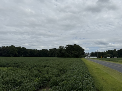 59 Acres of Farmland & Timberland in Rural NC - Great Hunting - image 12