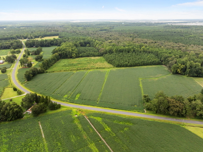 59 Acres of Farmland & Timberland in Rural NC - Great Hunting - image 14