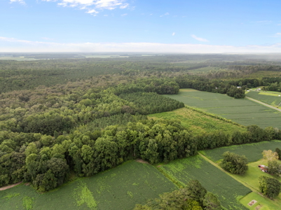59 Acres of Farmland & Timberland in Rural NC - Great Hunting - image 20