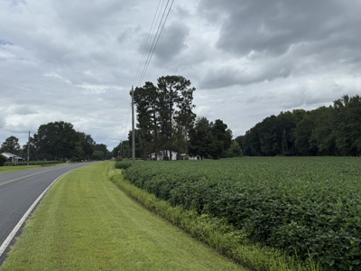 59 Acres of Farmland & Timberland in Rural NC - Great Hunting - image 4