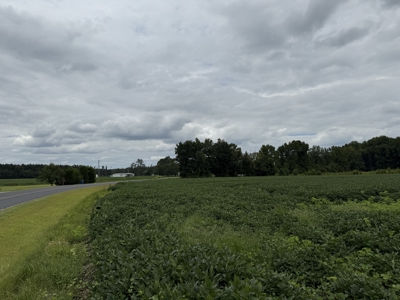 59 Acres of Farmland & Timberland in Rural NC - Great Hunting - image 7