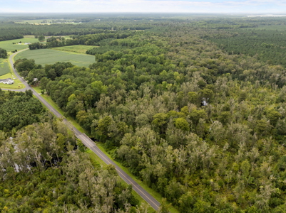 59 Acres of Farmland & Timberland in Rural NC - Great Hunting - image 18