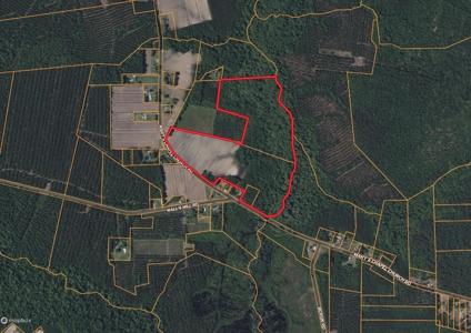 59 Acres of Farmland & Timberland in Rural NC - Great Hunting - image 2