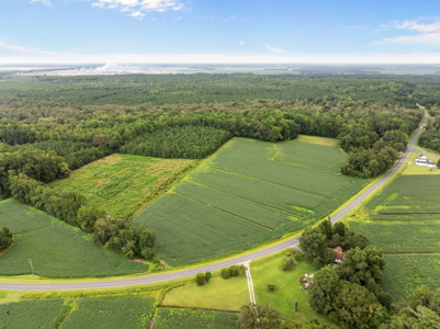 59 Acres of Farmland & Timberland in Rural NC - Great Hunting - image 19