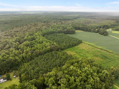 59 Acres of Farmland & Timberland in Rural NC - Great Hunting - image 21