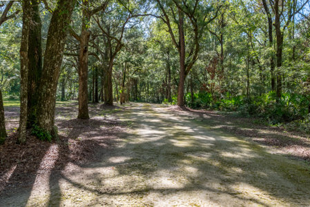 4 Bedroom Home in Chiefland, FL - image 8
