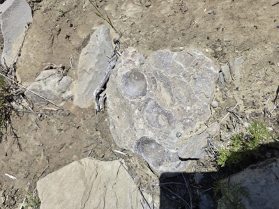 240 Acres – Historic Quarry West Thermopolis, WY with BLM Access - image 36