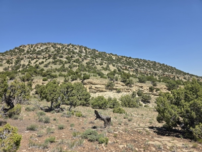 240 Acres – Historic Quarry West Thermopolis, WY with BLM Access - image 23
