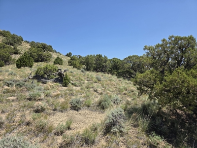 240 Acres – Historic Quarry West Thermopolis, WY with BLM Access - image 30