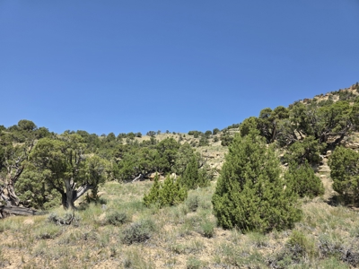 240 Acres – Historic Quarry West Thermopolis, WY with BLM Access - image 27
