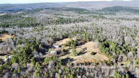 38 Private Hunting Land Acreage, Pasture & Hardwood Mix For Sale - image 20