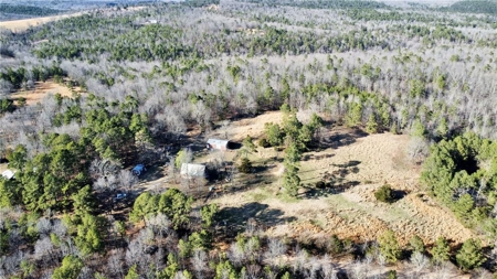 38 Private Hunting Land Acreage, Pasture & Hardwood Mix For Sale - image 3