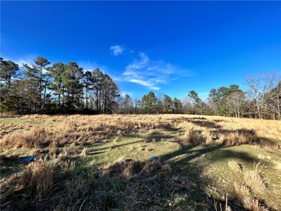 38 Private Hunting Land Acreage, Pasture & Hardwood Mix For Sale - image 7