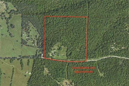 38 Private Hunting Land Acreage, Pasture & Hardwood Mix For Sale - image 22