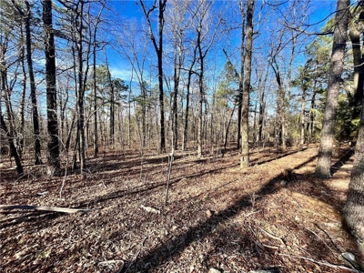 38 Private Hunting Land Acreage, Pasture & Hardwood Mix For Sale - image 19