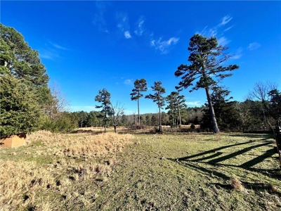 38 Private Hunting Land Acreage, Pasture & Hardwood Mix For Sale - image 5