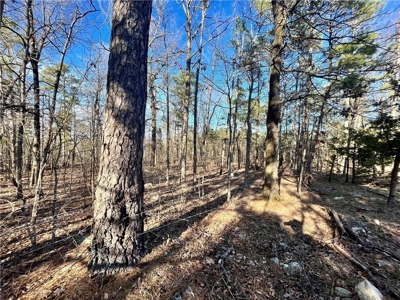 38 Private Hunting Land Acreage, Pasture & Hardwood Mix For Sale - image 18