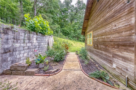 Home, Cabins, Newton County Ozark National Forest For Sale - image 26