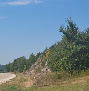 Commercial Property For Sale In Doniphan Missouri - image 3