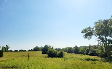 Commercial Property For Sale In Doniphan Missouri - image 2