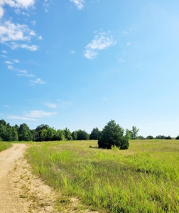 Commercial Property For Sale In Doniphan Missouri - image 4