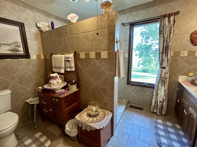 House and land for sale in Ava Mo - image 6