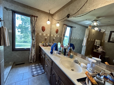 House and land for sale in Ava Mo - image 5