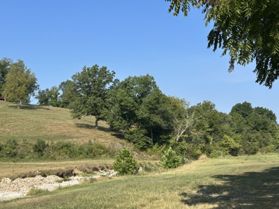 House and land for sale in Ava Mo - image 2