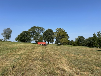 House and land for sale in Ava Mo - image 21