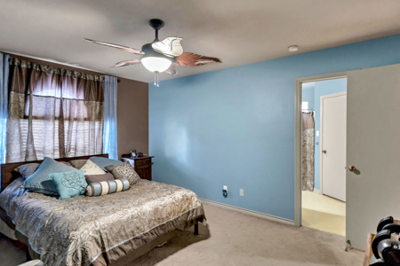 NAS-Kingsville and only 4 minutes from Texas A&M University - image 22
