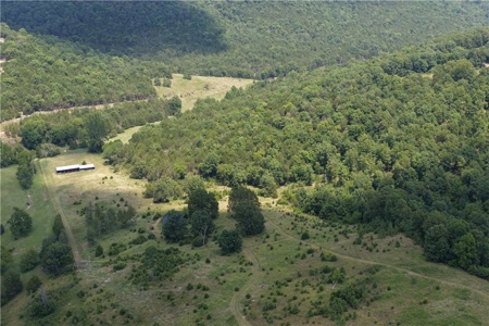 Madison County 42+ Acres For Sale, Near Kings River - image 10